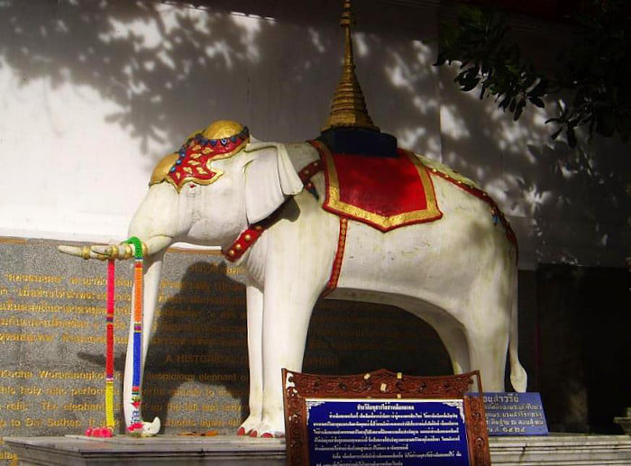 雙龍寺-白象