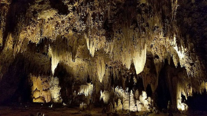 360-virtual-tour Carlsbad Caverns National Park Base in Melb