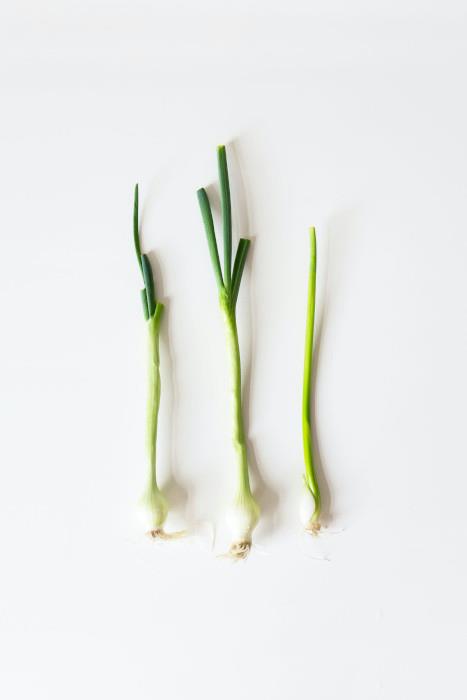 spring-onion